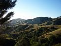 New_Zealand (1034)